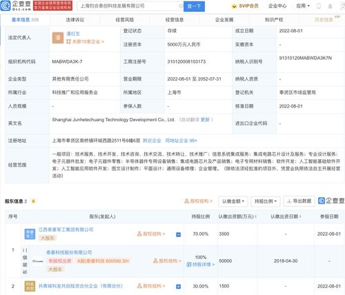人工智能應用軟件開發 機遇、挑戰與實踐路徑